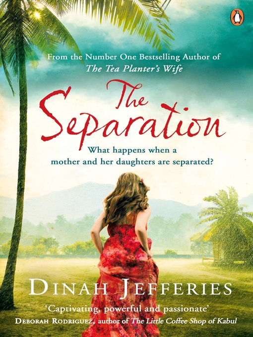 Title details for The Separation by Dinah Jefferies - Wait list